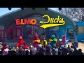 Elmo S Ducks Song LIVE At Sesame Place