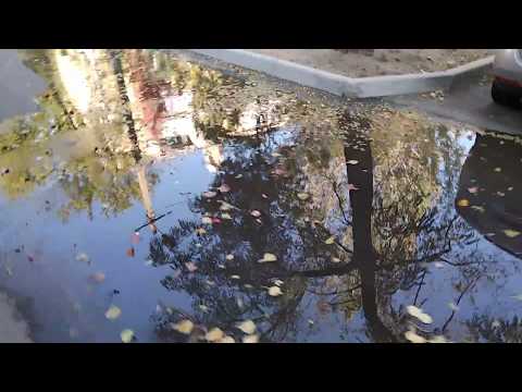 У людей под носом канализация. В Николаеве на Карпенко во дворах опять течет канализация