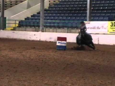 Mr Brownstone Heir 3 yr old