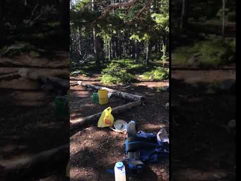 Video of our campsite