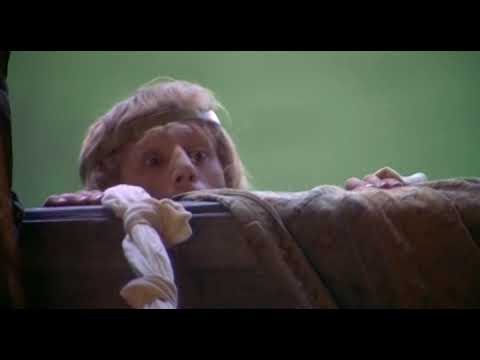 Die Ritter der Kokosnuss: Sir Lancelot rettet die Prinzessin