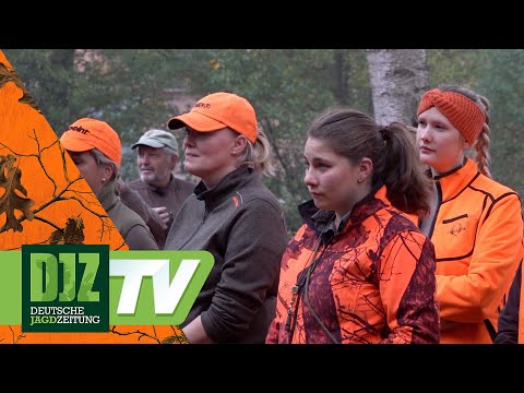 Driven hunt among the deer – PareyGo Classics