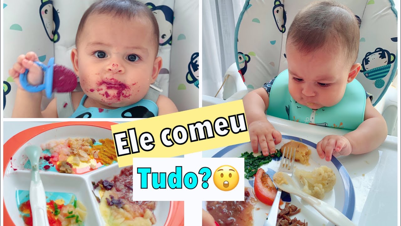 VLOG INTRODUÇÃO ALIMENTAR DO BEBÊ aos 6 MESES + QUAL MÉTODO ESCOLHI? |  #PALOMASOARES
