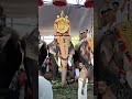 Eattumanoor Mahadeva Temple 8 Ulsavam Guruvayoor Indrasen Ettumanoor Ulsavam Yutubeshorts