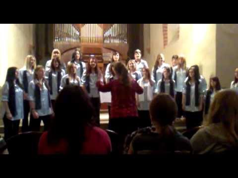 SPgS - MOST .. (Krnov 2012 ) Divca,lastovicka.mp4