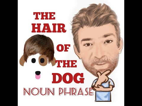 English Tutor Nick P Noun Phrase (270) The Hair of the Dog - Origin