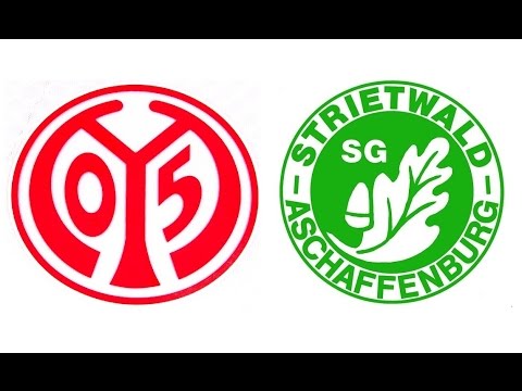 U11 (Jhg2005) 1. FSV Mainz 05 vs SG Strietwald 7:0; Greenwood-Cup Hösbach-Bahnhof 28.11.15