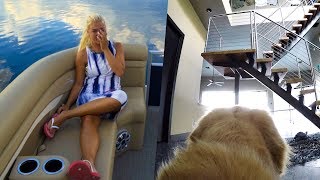 What happens when we leave on the boat.. (Dogs Home Alone)