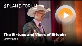 Virtues and Vices of Bitcoin