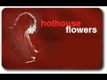 Hothouse Flowers   Good for you