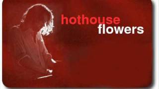 Hothouse Flowers   Good for you