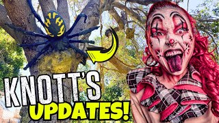 NEW! Knott's Berry Farm 2025 Update | Scary Farm, No Boo Issue, Ride Lockers, MonteZOOMa + More!