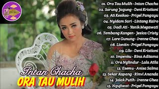 Download lagu Langgam Campursari Ora Tau Mulih - Intan Chacha Full Album mp3 Download lagu Langgam Campursari Ora Tau Mulih - Intan Chacha Full Album mp3