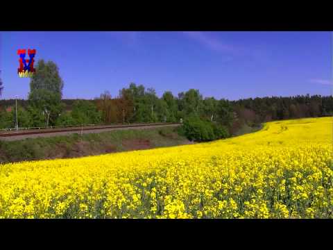 R1195 projíždí Horní Břízou zastávkou