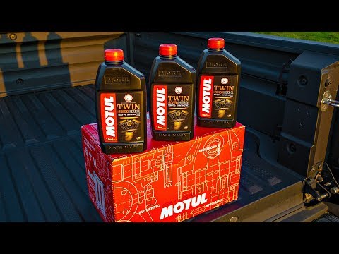 All-New Oil for My Harleys!! • MOTUL V-Twin 4T 20W50! | TheSmoaks Vlog_856