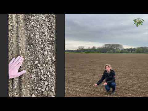 Feldexkursion 232: Aussaat der Zuckerrübe und Herbizidstrategien