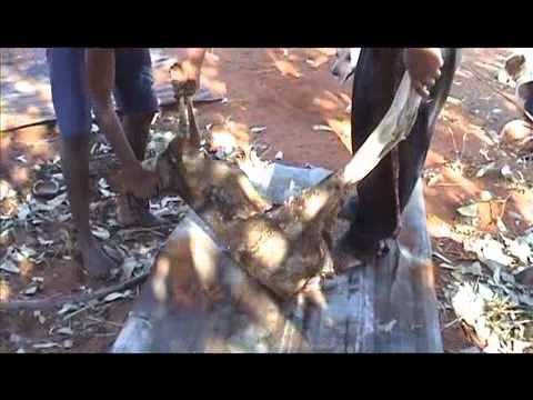 MMR2005 Yakanarra The Hunting Way