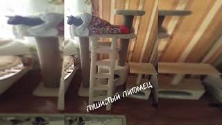 видео отзыв о игровом комплексе ДИК -8