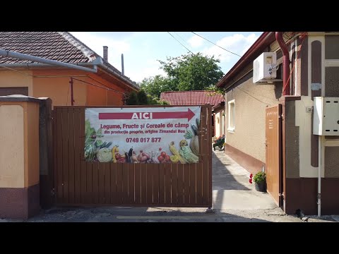 Gradina lui Andrei - Zimandu Nou