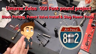 100 Foot Pound 25 Umarex Zelos Project
