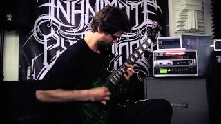 Inanimate Existence - Staring Through Fire (Official Guitar Play-Through)