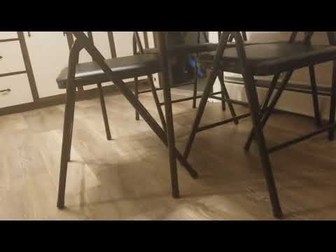 Sameen the Kitten up!