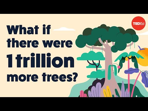The Surprising Effect Trees Really Have on Climate Change