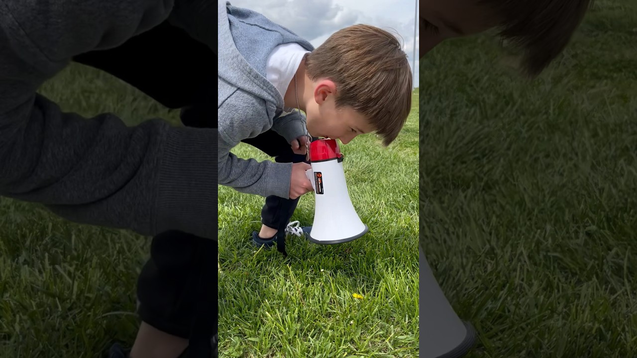 Not a sunflower #entertainment #facts #megaphone