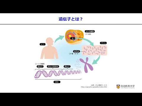 令和7年度第1回がんサロン虹（がんゲノム医療について）