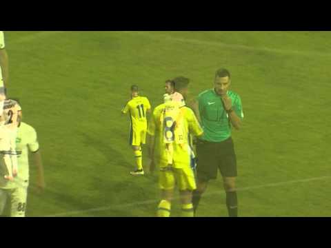 28. krog: Domžale - Koper 1:1, Prva liga Telekom Slovenije 2015/16