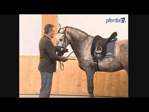 Tipps für die aktivierung der Hinterhand bei jungen Pferden | Anja Beran