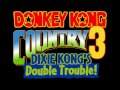 Bonus Win Donkey Kong Country 3 Dixie Kong S Double Trouble SNES Music44