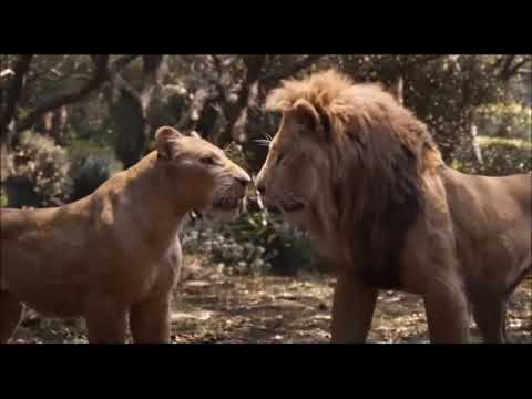 Le Roi Lion - Retrouvaille Simba et Nala - Le film VF