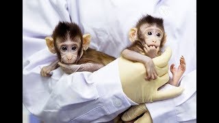 Новости науки. Январь №3