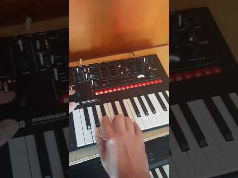 Korg Monologue