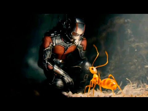 Ant-Man Training Scene - Scott Lang in The Ants' Nest || Ant-Man (2015)