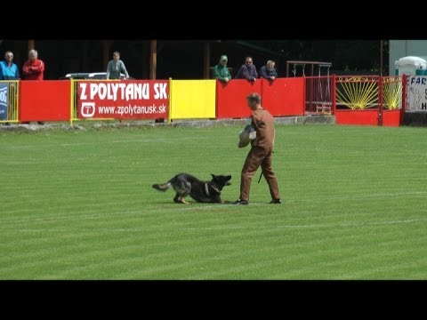 IPO1 Zilina 2014 - Urri z Kurimskeho haje - C:96