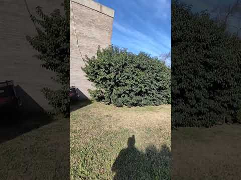 Terreno en venta en Pueblo Andino barrio Santa Rosa #andino