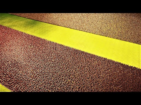 500,000 Spartans Vs 100,000 Roman Generals | Ultimate Epic Battle Simulator 2 | UEBS2