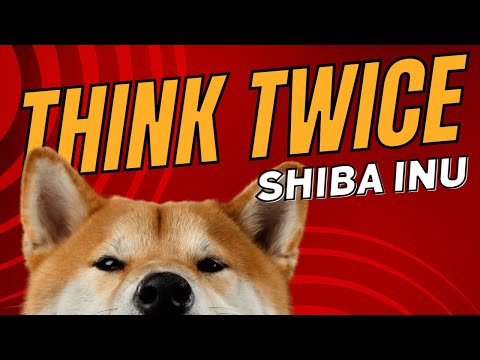 YouTube video about: Are shiba inus good apartment dogs?