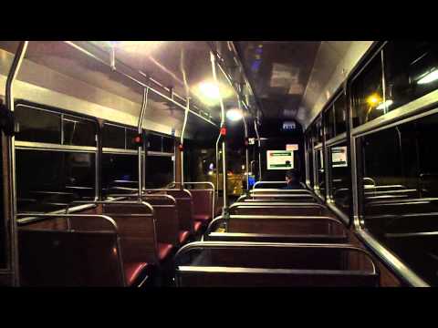 Mercedes Benz O405 - Forest Coach Lines m/o8278