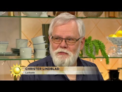 Trissvinnaren: "Det blev en bra timpenning" - Nyhetsmorgon (TV4)