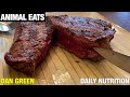 Animal Eats | Dan Green's Daily Nutrition