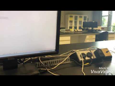 Lab 5 Program Output