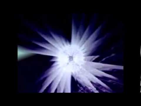 Lost Witness - Did I Dream (Song to the Siren) Best remix