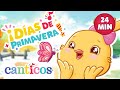It S Spring Primavera Sing With Us To Warmer Days Ahead Spring