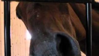 Love lives on ♥ RIP Jack ♥