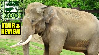 Cincinnati Zoo Tour & Review