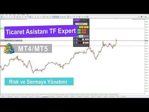 Video Trade Assistant Expert TF for MT4