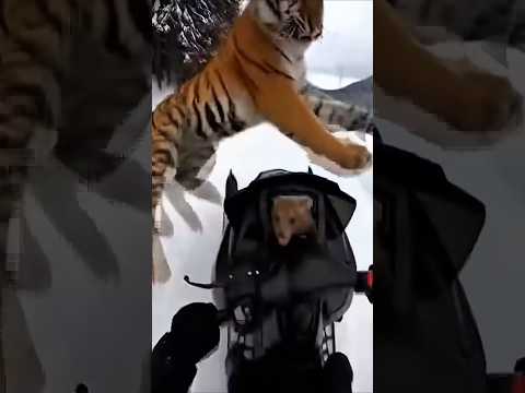 HE RISKED EVERYTHING TO SAVE A BABY